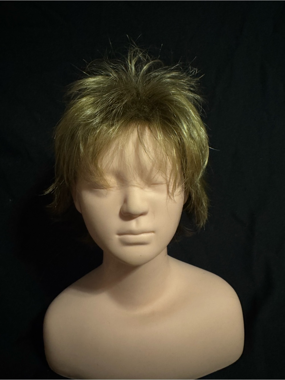 Paula Young Wig